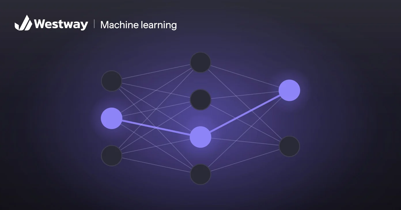 Illustration of machine learning: a small neural network with one path lit