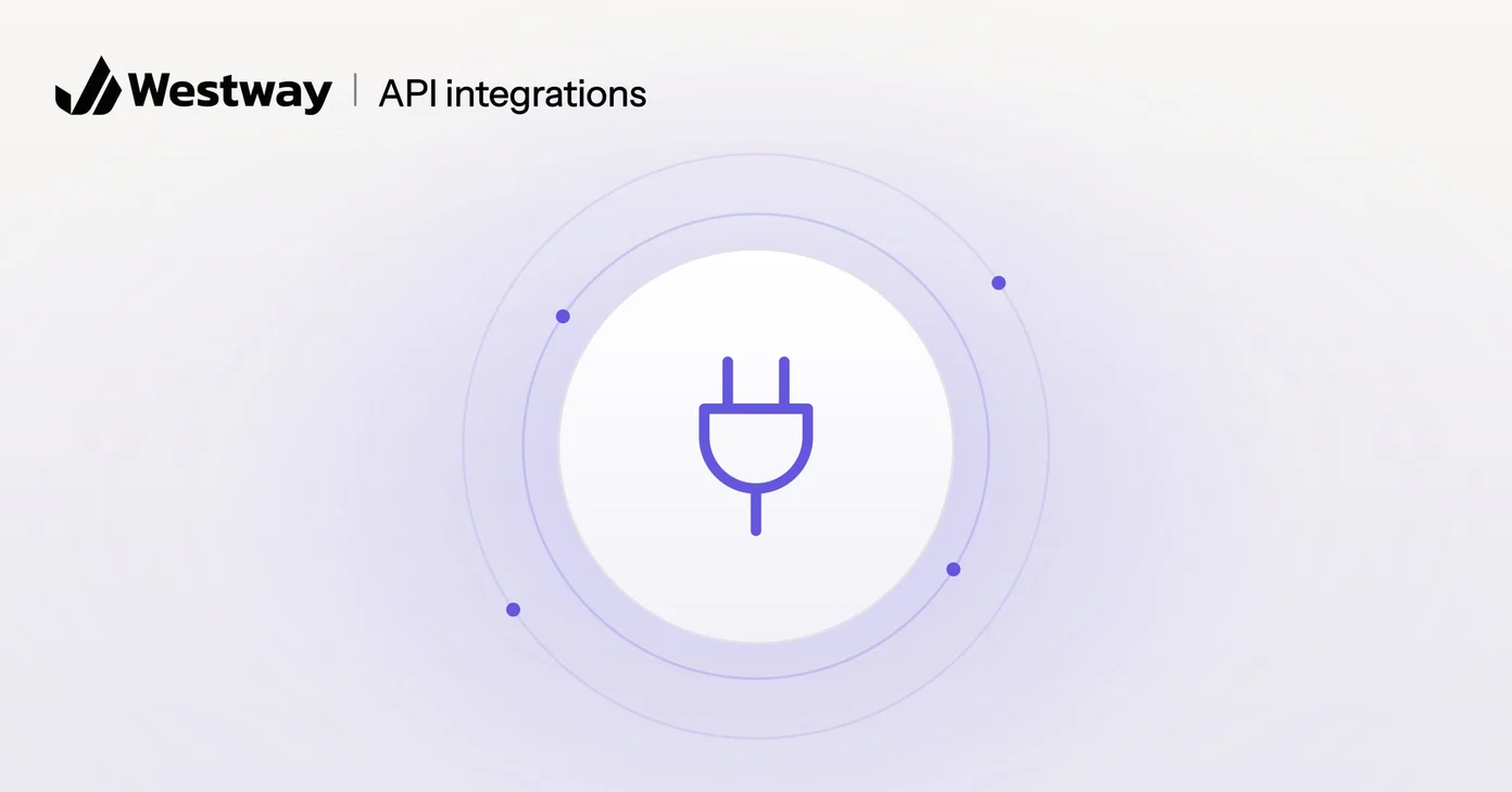 Illustration of website API integrations: a plug